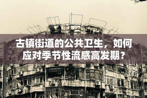 古镇街道的公共卫生，如何应对季节性流感高发期？