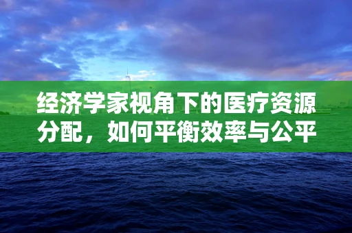 经济学家视角下的医疗资源分配，如何平衡效率与公平？