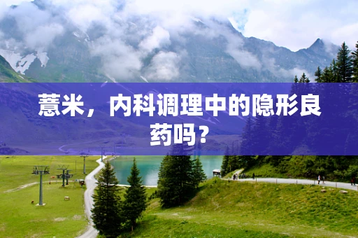 薏米，内科调理中的隐形良药吗？