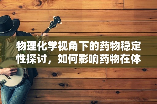 物理化学视角下的药物稳定性探讨，如何影响药物在体内的半衰期？