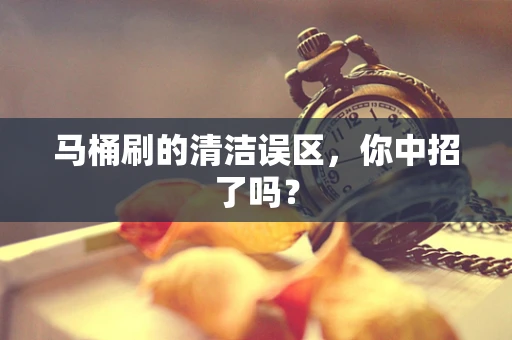 马桶刷的清洁误区，你中招了吗？