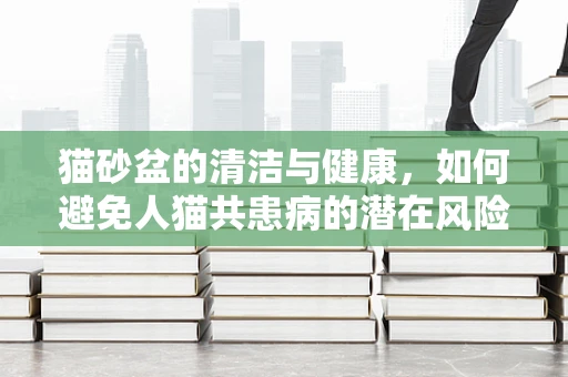 猫砂盆的清洁与健康，如何避免人猫共患病的潜在风险？
