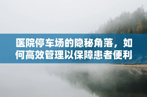 医院停车场的隐秘角落，如何高效管理以保障患者便利？