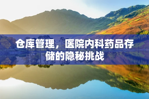 仓库管理，医院内科药品存储的隐秘挑战