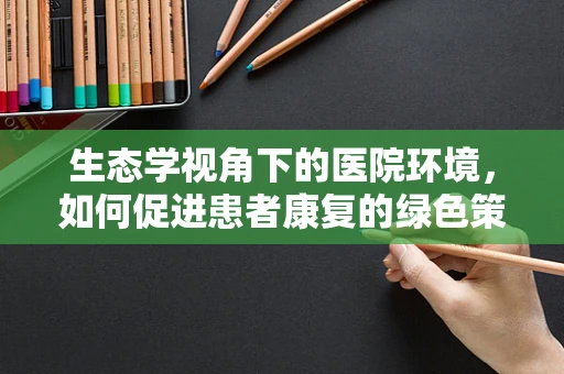 生态学视角下的医院环境，如何促进患者康复的绿色策略？