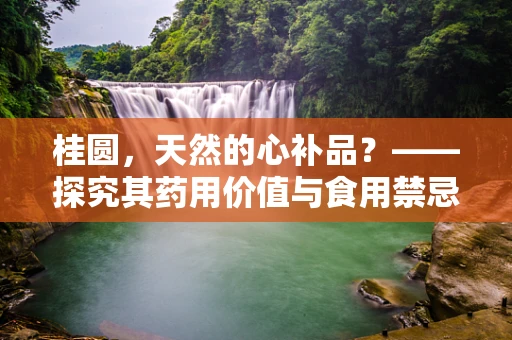 桂圆，天然的心补品？——探究其药用价值与食用禁忌