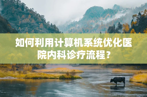 如何利用计算机系统优化医院内科诊疗流程？