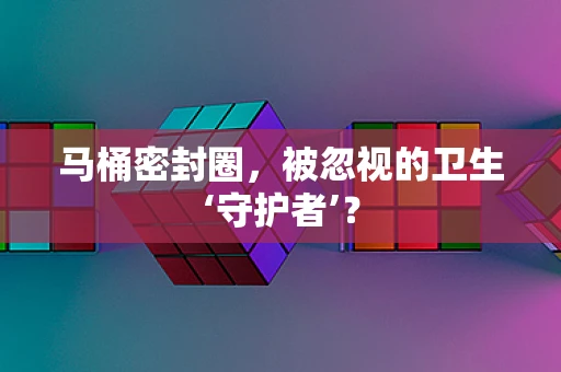 马桶密封圈，被忽视的卫生‘守护者’？
