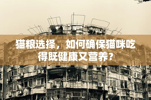 猫粮选择，如何确保猫咪吃得既健康又营养？