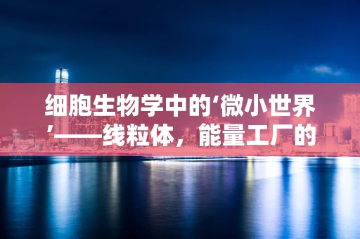 细胞生物学中的‘微小世界’——线粒体，能量工厂的秘密