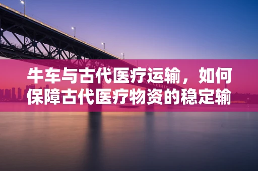 牛车与古代医疗运输，如何保障古代医疗物资的稳定输送？
