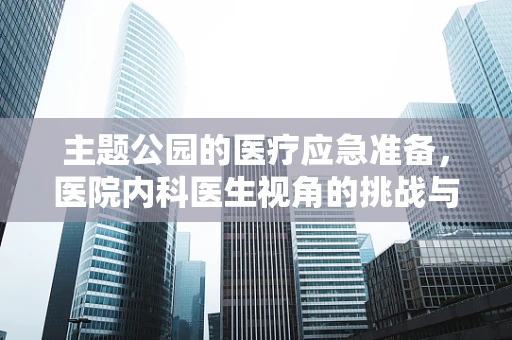 主题公园的医疗应急准备，医院内科医生视角的挑战与对策