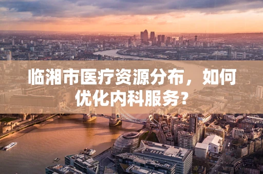 临湘市医疗资源分布，如何优化内科服务？