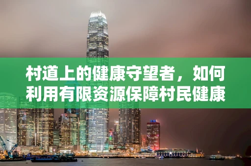 村道上的健康守望者，如何利用有限资源保障村民健康？