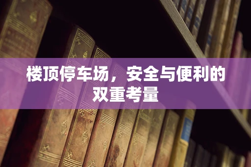 楼顶停车场，安全与便利的双重考量