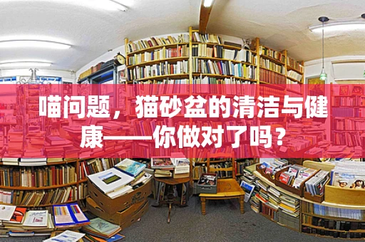喵问题，猫砂盆的清洁与健康——你做对了吗？