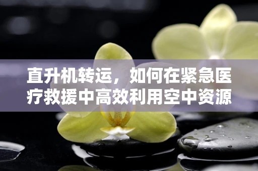 直升机转运，如何在紧急医疗救援中高效利用空中资源？