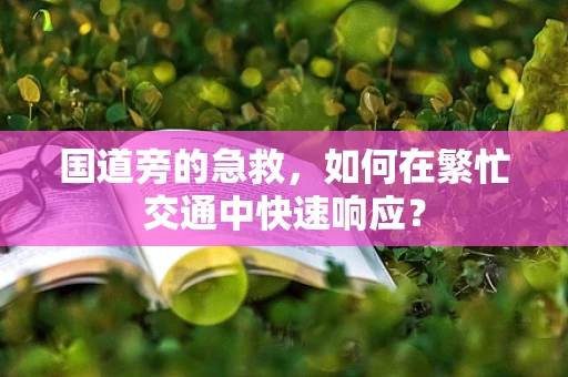 国道旁的急救，如何在繁忙交通中快速响应？