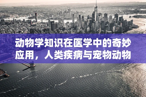 动物学知识在医学中的奇妙应用，人类疾病与宠物动物间的隐形桥梁？