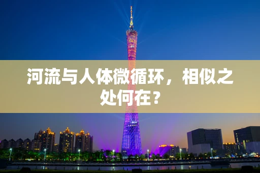河流与人体微循环，相似之处何在？