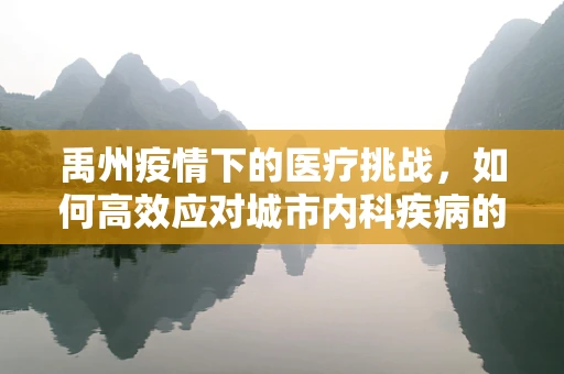 禹州疫情下的医疗挑战，如何高效应对城市内科疾病的突发潮？