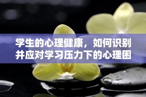 学生的心理健康，如何识别并应对学习压力下的心理困扰？
