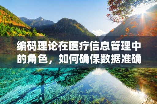 编码理论在医疗信息管理中的角色，如何确保数据准确无误？