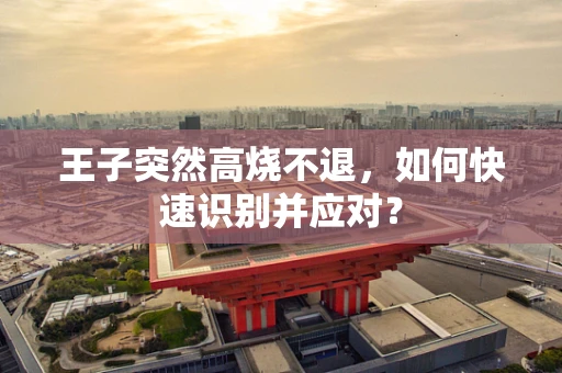 王子突然高烧不退，如何快速识别并应对？