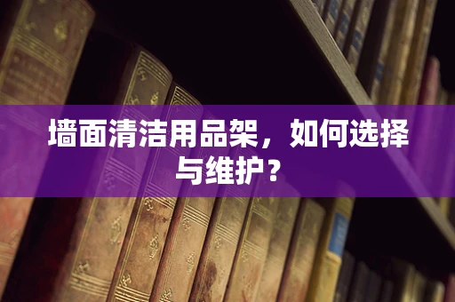 墙面清洁用品架，如何选择与维护？
