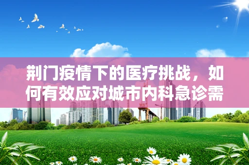 荆门疫情下的医疗挑战，如何有效应对城市内科急诊需求？