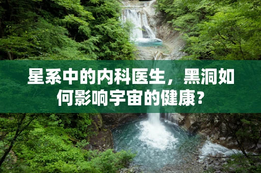 星系中的内科医生，黑洞如何影响宇宙的健康？