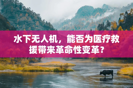 水下无人机，能否为医疗救援带来革命性变革？
