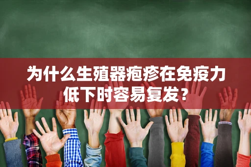 为什么生殖器疱疹在免疫力低下时容易复发？