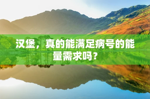汉堡，真的能满足病号的能量需求吗？