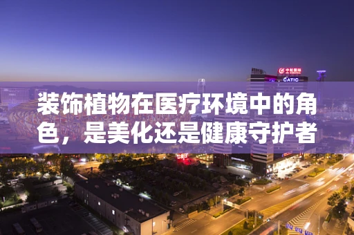 装饰植物在医疗环境中的角色，是美化还是健康守护者？