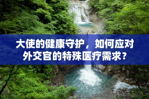 大使的健康守护，如何应对外交官的特殊医疗需求？