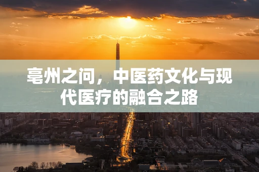亳州之问，中医药文化与现代医疗的融合之路