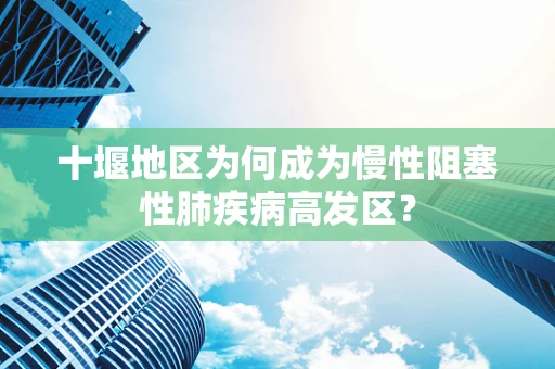 十堰地区为何成为慢性阻塞性肺疾病高发区？