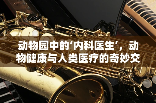 动物园中的‘内科医生’，动物健康与人类医疗的奇妙交集