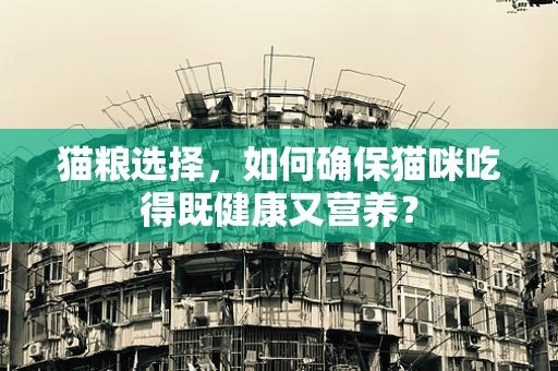 猫粮选择，如何确保猫咪吃得既健康又营养？