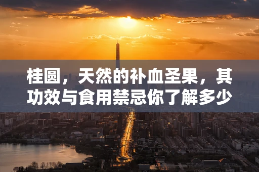桂圆，天然的补血圣果，其功效与食用禁忌你了解多少？