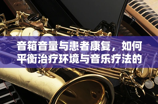 音箱音量与患者康复，如何平衡治疗环境与音乐疗法的界限？