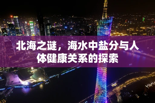 北海之谜，海水中盐分与人体健康关系的探索