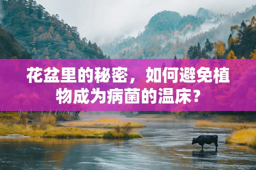 花盆里的秘密，如何避免植物成为病菌的温床？
