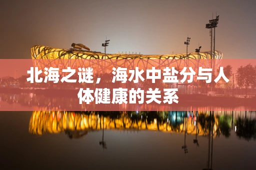 北海之谜，海水中盐分与人体健康的关系