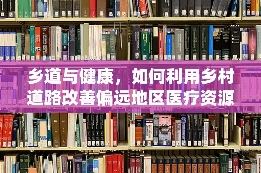 乡道与健康，如何利用乡村道路改善偏远地区医疗资源获取？