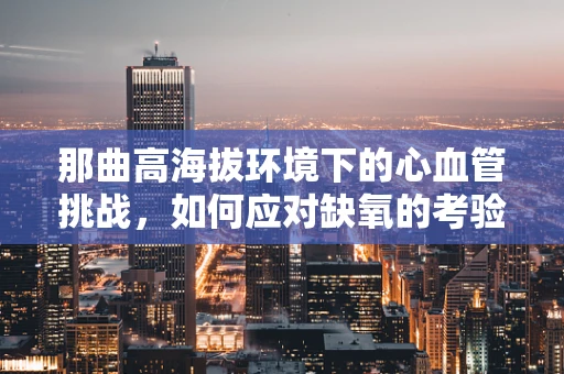 那曲高海拔环境下的心血管挑战，如何应对缺氧的考验？