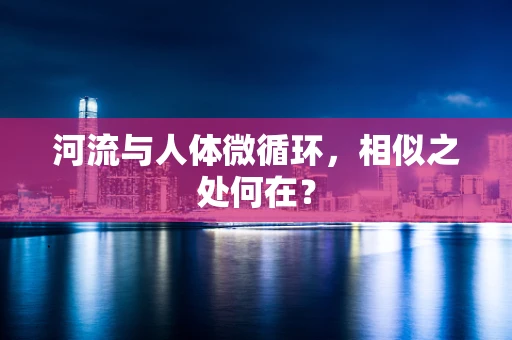 河流与人体微循环，相似之处何在？