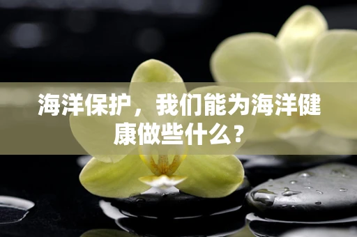 海洋保护，我们能为海洋健康做些什么？