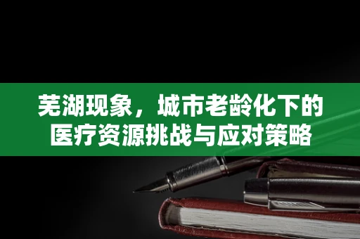 芜湖现象，城市老龄化下的医疗资源挑战与应对策略